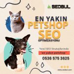 En Yakın Petshop SEO Rehberi